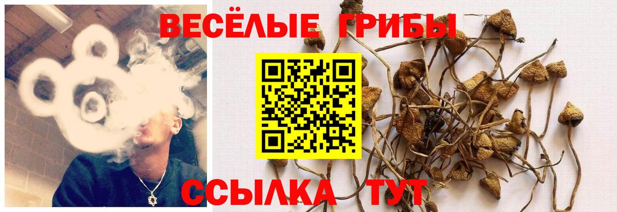 наркота  Вход с VPN  Псилоцибиновые грибы Cubensis  Ишим  Галлюциногенные грибы MAGIC MUSHROOMS 